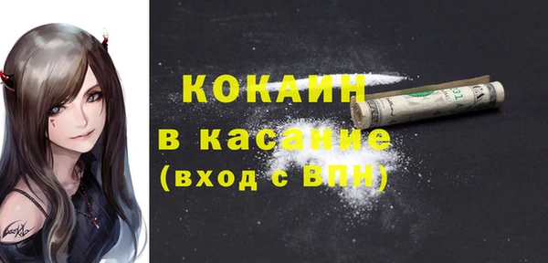 мет Дмитриев