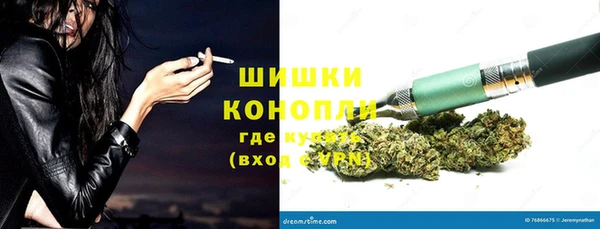 мет Дмитриев