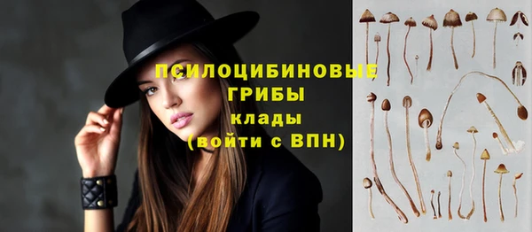 меф Дмитров
