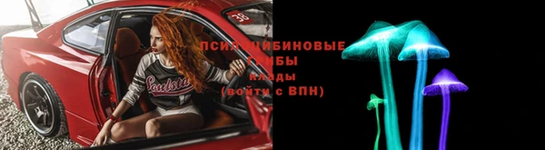 таблы Дмитровск